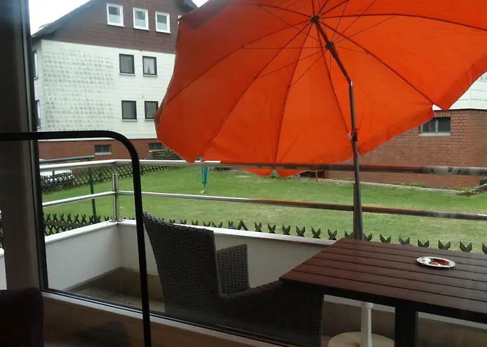 Buntspecht 布劳恩拉格