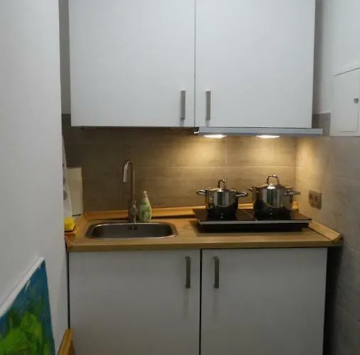 Buntspecht 布劳恩拉格